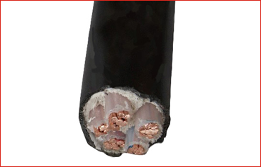 YJV五芯交聯電纜