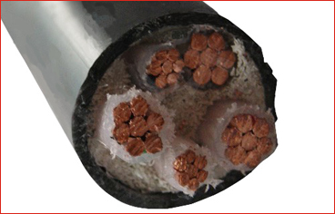 YJV五芯交聯電纜