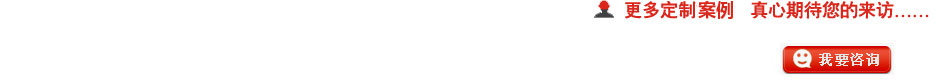 更多定制案例，期待您的咨詢