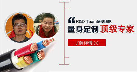 量身定制頂級專家