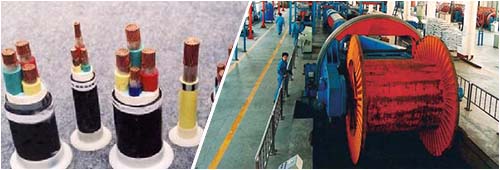 中策電纜 中策電纜