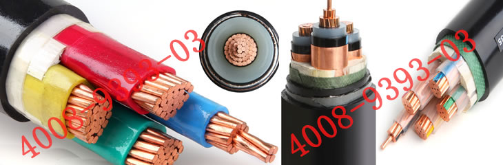 中策電纜 中策電纜