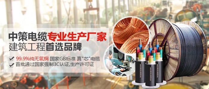 　中策永通線纜杭州G20峰會指定品牌