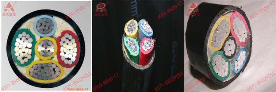 8.31-2.jpg 8.31-2.jpg