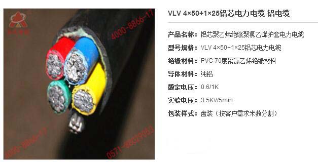 8.31-1.jpg 8.31-1.jpg