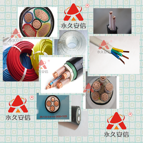 電線電纜.png 電線電纜.png