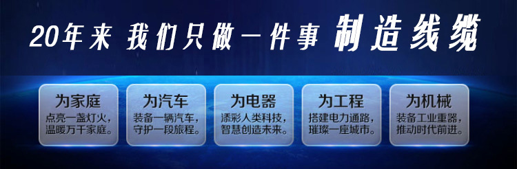 超六類阻水網線