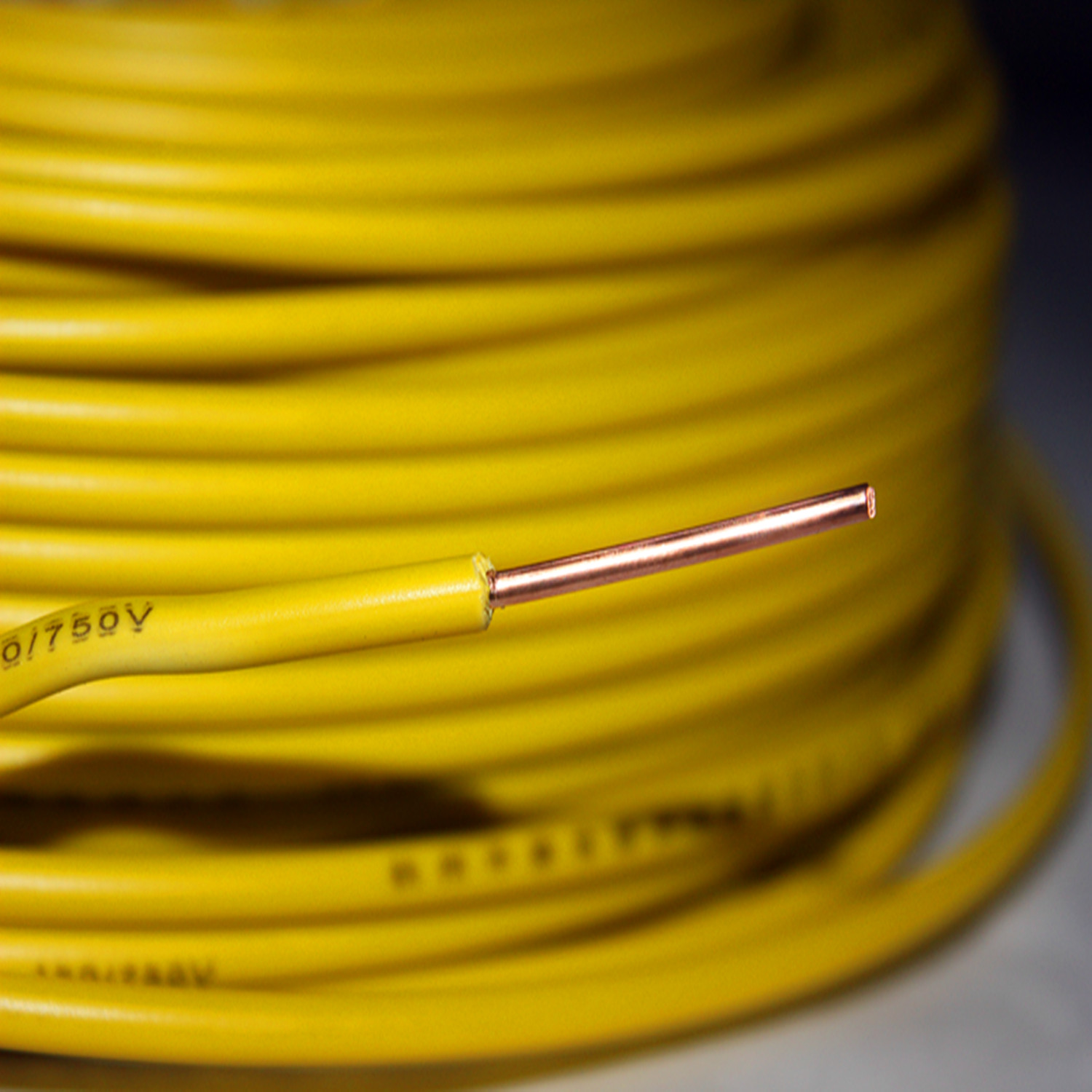 BV4 16張_副本.jpg