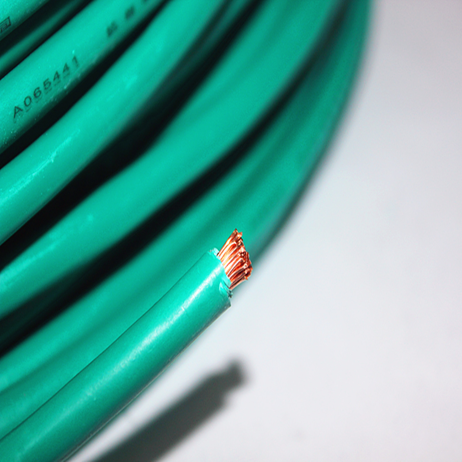 BVR1 8張_副本.jpg