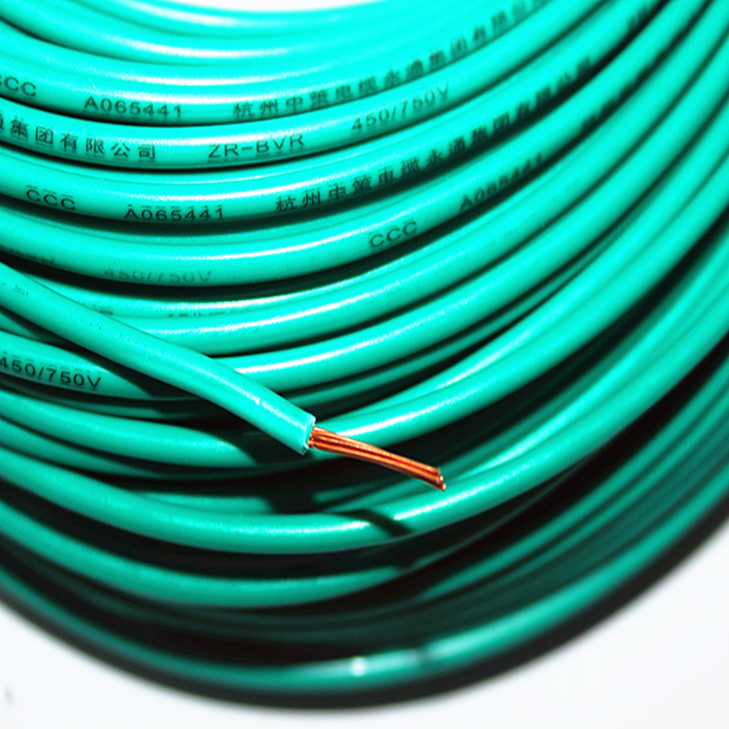 BVR1 6張_副本.jpg BVR1 6張_副本.jpg