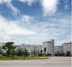 企事單位 安信電纜  安“芯”使用