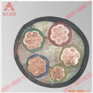 【杭州】到底安信140mm銅芯電纜線每米價格是高了還是低了?