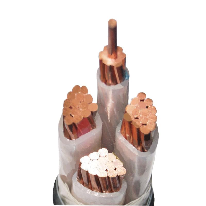 【浙江】太夸張了，整個浙江都在買杭州安信低壓電力電纜