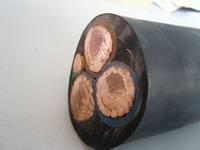 【杭州】橡套電纜廠家 心系杭州安信