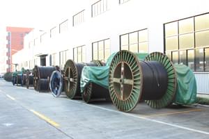 【浙江】還在找低煙無鹵電纜廠家?他們都去杭州安信