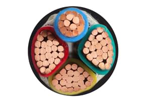 全國100多個地州市有杭州安信的廣告，反正我信了。。