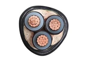 【浙江】怎么采購國標yjv電纜 點擊查看杭州電纜廠案例