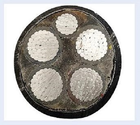 鋁合金電纜熱門話題你知道幾個？【杭州安信】