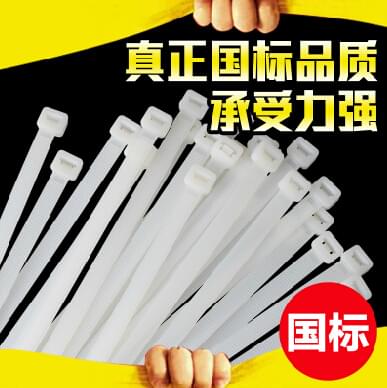 扎帶 國標尼龍扎帶 扎線帶