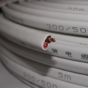 2芯4平方護套線 國標硬護套 bvvb硬護套