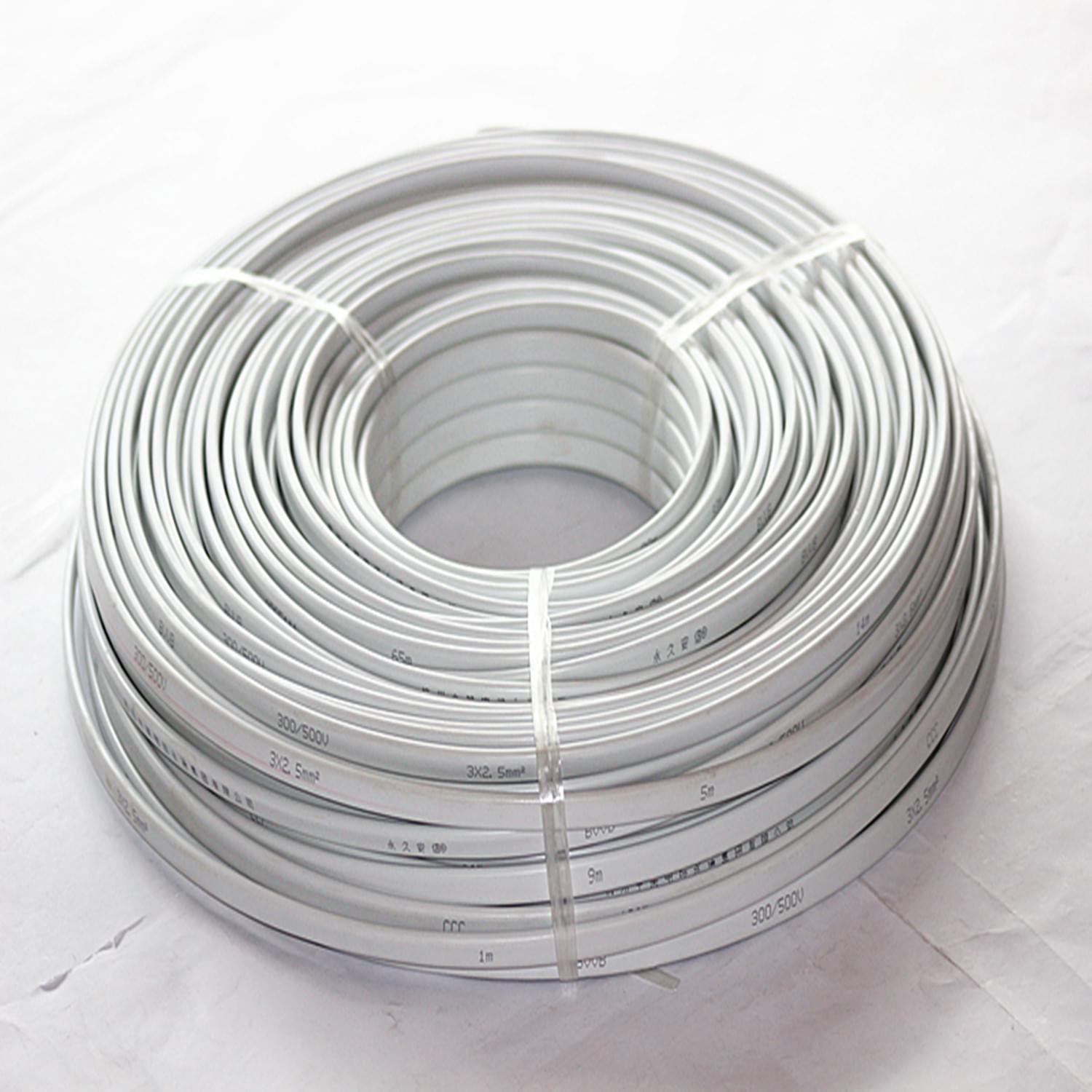 BVVB2*10平方尼龍護套電線