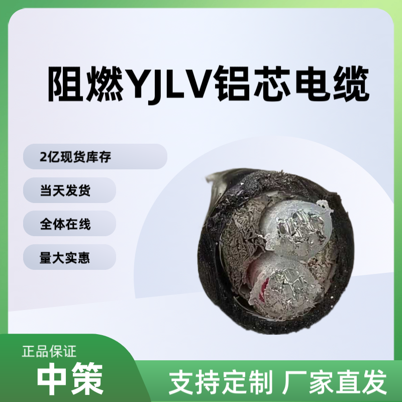 中策阻燃ZR-YJLV鋁芯電纜 國標2×10平方阻燃電纜廠家直銷